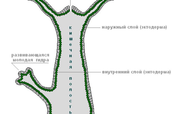 Кракен дарк площадка