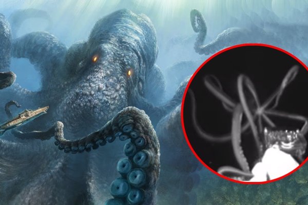 Kraken сайт покупок