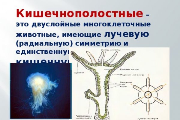 Кракен это наркозависимость