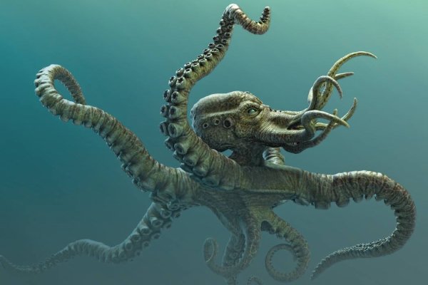 Кракен сайт официальный ссылка kraken clear com
