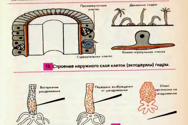 Актуальная ссылка на кракен kraken014 com
